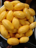 Gedroogde Mango Fruit Verpakking 150Gram 300Gram 500Grm Oem Verkopen-Whatsapp + 84 867 778 224