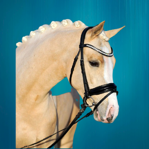 Vente en gros de bride de cheval à chaîne diamante de haute qualité nouvelle bride de cheval Diamante de haute qualité Vente en gros de bride de cheval Diamante de haute qualité - Product Image 4