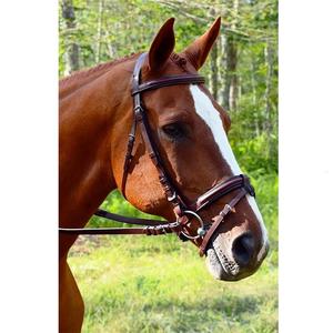 Red Barn Burghley Flash Bridle Seasonal Samosata Old Snake certificado ISO 9001 personalizable bajo petición envío al por mayor - Product Image 1