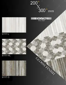 CARREAUX MURAUX DE SOL AVEC FINITION DE SURFACE MATE ET BRILLANTE 200X300mm AVEC MATÉRIAU DE QUALITÉ SUPÉRIEURE PRÊT À EXPÉDIER