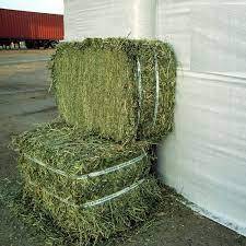 หญ้าชนิตเกรดอาหารสำหรับสุนัข25กก./ถุง - Product Image 2