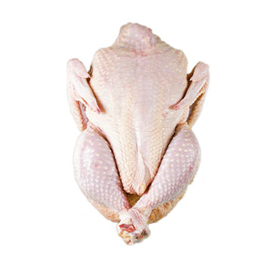 ไก่แช่แข็งฮาลาลทั้งตัวแบบขายส่ง มีและไม่มีไส้ใน บรรจุภัณฑ์แบบไก่ทั้งตัว - Product Image 6
