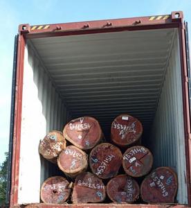 High Quality Purpleheart Pine Timber <b>Logs</b> for Wholesale for Furniture Markets High-End Construction Projects Top Export Quality - Product Image 1