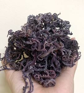 Algue cartilagineuse violette naturelle, produits de qualité Peut être utilisé de nombreuses façons Mary - Product Image 6