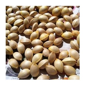 Noix de ginkgo pelées, brutes et décortiquées, fournisseurs en gros de ginkgo biloba, meilleur prix, noix de ginkgo séchées de qualité supérieure à vendre - Product Image 6