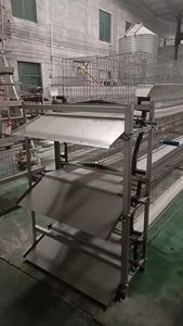 กรงไก่อัตโนมัติพร้อมระบบรับไข่สำหรับฟาร์มสัตว์ปีกสภาพใหม่สำหรับไก่ไข่ - Product Image 4