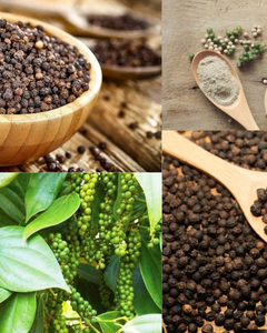 POIVRE DU VIETNAM DE HAUTE QUALITÉ CERTIFIÉ HACCP ET ISO - Product Image 5