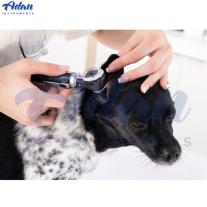 Otoscope vétérinaire multifonctionnel de haute qualité à fibre optique LED, portable et de poche, pour l'examen des oreilles des animaux et des humains - Product Image 6