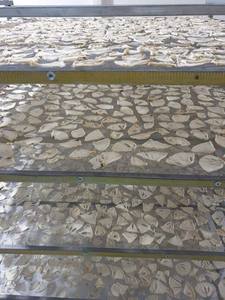 Vietnam Soft Dried Soursop Sweet Chewy Tropical Fruit Snack Export - Product Image 3