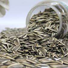 เมล็ดทานตะวันเกรดเยี่ยมผลิตภัณฑ์ทางการเกษตร - Product Image 3