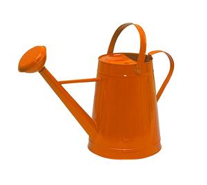 Hot Sale Prices New Design <b>garden</b> watering can water bottle Iron metal Finished water can Indian Handmade - Product Image 3