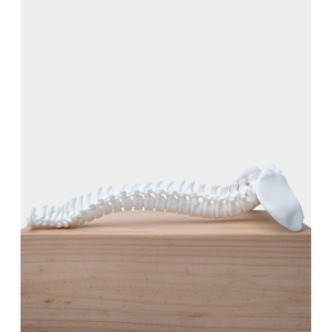 Filamento de Plástico para Impresora 3D Phrozen Engineering, 500g, Resina Cerámica Rígida en Blanco, Oferta Especial - Product Image 3