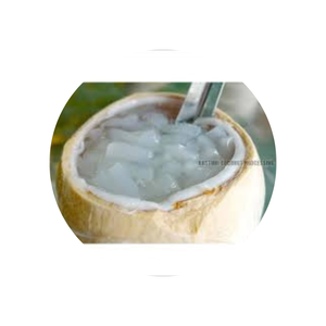 วุ้นมะพร้าวขนมหวานแบบนาตาเดอโคโค่ผลิตโดยเวียดนาม-น้ำเชื่อมอัดดิบ Nata de COCO/MS ลิลลี่ + 84906927736 - Product Image 1