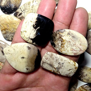 หินอัญมณีฟอสซิลรากปาล์มธรรมชาติที่สวยงามอัญมณีหลวมรูปร่างผสมรากปาล์มฟอสซิลอัญมณีใช้ทำอัญมณี - Product Image 2