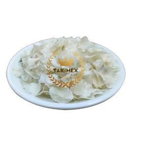 Escamas de pescado de tilapia seca para colágeno secado al sol Grado 1 Origen de Vietnam utilizado en gel y cosméticos - Product Image 5