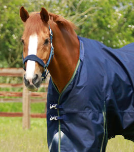 2026 Premium horse rug <b>waterproof</b> breathable equestrian supplier customized horse rugs turnout <b>blanket</b> for training competition - Product Image 5