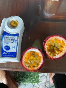 Jarabe de fruta de la Pasión congelada de calidad superior Preservación Origen Vietnam Cantidades a granel Precio barato ReadyWhatsap 0084 989 322 607 - Product Image 2