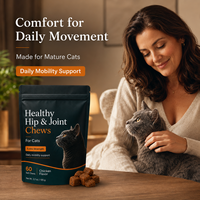 Complément alimentaire pour la santé des articulations des chats, marque privée, extra fort, soulage la raideur, améliore la mobilité, avec glucosamine, MSM, chondroïtine, sous forme de comprimés à mâcher