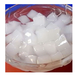Gelée de noix de coco du Vietnam pour boissons rafraîchissantes Nata De Coco Idéal pour les coupes de fruits, les boissons et les gelées - Product Image 4
