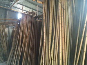 ไม้ไผ่ทรงกระบอกผลิตในเวียดนาม สินค้าขายดีในตลาด นำเสนอโดยผู้จัดจำหน่ายขายส่ง 99D พร้อมการผลิตจำนวนมากที่มั่นคง - Product Image 2