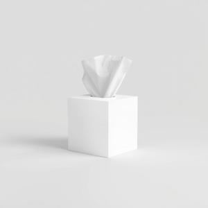 Boîte de mouchoirs faciaux premium 2 plis, fabriqués à partir de pâte de bois vierge, avec texture douce gaufrée, pour la maison, le bureau, l'hôtel et le commerce. - Product Image 6