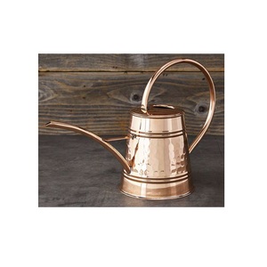 Simple Metal Water Can creative vintage water <b>cane</b> <b>garden</b> Hot Selling Compare Share <b>Garden</b> Watering Can Galvanized - Product Image 2