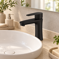 Robinet de salle de bain moderne WYRAX en acier inoxydable brossé à trou unique, à poser sur le comptoir, idéal pour salon et salle de sport - Vente chaude