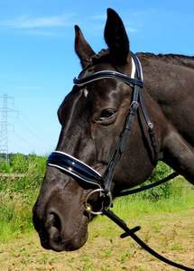 Bride hybride en cuir de cheval avec bride de muserolle française Bride anatomique en cuir de cheval - Product Image 4