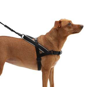 Norwegian Luxury Softer-Walk <b>Dog</b> <b>Harness</b> in Gotham Style Small <b>Medium</b> Large Sizes Polyester Pet <b>Harness</b> for <b>Dog</b> Walking - Product Image 3