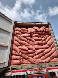 Polvo de Incienso en Oferta - Polvo de Agarbatti con 100% de Alta Calidad para Hacer Incienso - Product Image 6