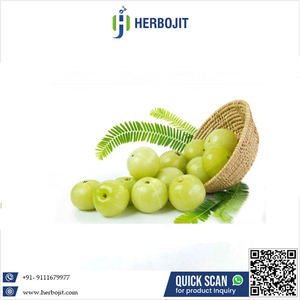 Healthy Organic Food Grade Natural Amla Herbal <b>Extract</b> 100% Pure Super Quality Best Price Made India Solvent Extracted Herbojit - Product Image 6