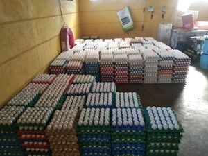 ไข่ไก่ธรรมชาติแบบมีโต๊ะจากโปรตุเกส - Product Image 2