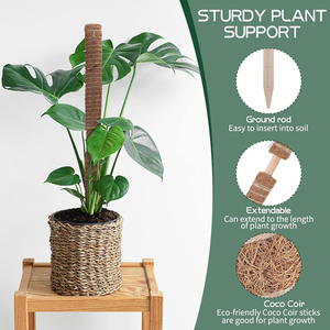 <b>Cover</b> Shipping Fee US Stock 4pcs <b>Plastic</b> Coated Moss Pole Kit with Ties Monstera Indoor/Outdoor Plants Support - Product Image 5