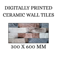 Modernes Design Digital bedruckte Keramik-Wandfliesen 300 X600 MM Elevation Wandfliesen für Außenwände von Außen balkonen und Villen