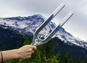 HORQUILLA DE SINTONIZACIÓN GIGANTE CON 256Hz y F342hz CON STRIKER - Product Image 2