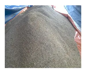 Cheap Price Whole Carb Shell in Bulk Quantity available for exporting from 99 GD Viet Nam