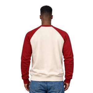 ΦΝΠ Phi Nu Pi Raglan Chenille <b>Sweatshirt</b> True To Size Premium Fleece Embroidered Greek Fraternity Apparel - Product Image 2