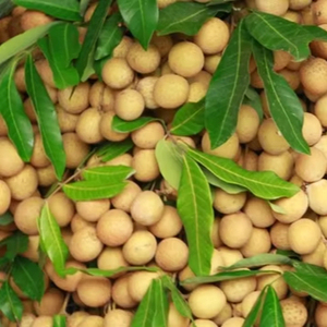 บรรจุภัณฑ์แบบโซ่เย็นบรรจุภัณฑ์แบบมาตรฐานบรรจุภัณฑ์จำนวนมากส่งตรงจากฟาร์มส่งตรงจากลำไยบรรจุภัณฑ์แบบพรีเมียม - Product Image 1