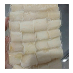 Bâtonnets pelés de canne à sucre congelée IQF en vrac canne à sucre congelée prête pour jus smoothies et cocktails - Product Image 6