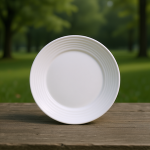 Assiette à dîner LUMINARC Harena blanche 25 cm, lot de 24 - Product Image 3
