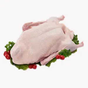 销售用顶级优质冷冻鸭肉