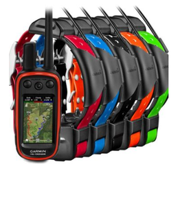Tout nouveau Original 100 avec colliers GPS TT15 COMBO Dogs - Product Image 1