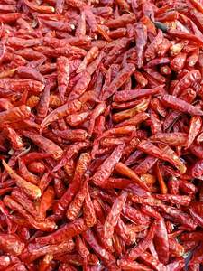 Chile Rojo Seco al Sol de Primera Calidad, Entero, para Distribuidores Globales de Especias, Alta Picante, Pimiento Rojo Natural, Calidad Estándar de Exportación - Product Image 2