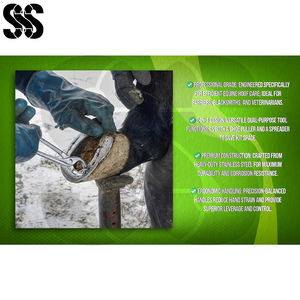 Cortador de Pezuñas de Acero Inoxidable de Alta Calidad, Resistente a la Corrosión, con Logotipo Personalizado, Herramientas de Herrador OEM, Recortadores Equinos Personalizados - Product Image 6