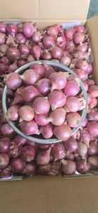 หอมแดงสีม่วงแช่แข็งก้อน | พร้อมปรุง | ขายส่ง - Product Image 2