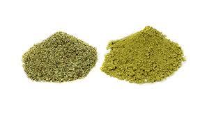 Polvo de Hoja de Senna Natural al por Mayor, Extracto de Grado Alimenticio, Suplemento Herbal, Sennosides de Cultivo Silvestre, Producto a Granel, Muestra Gratuita - Product Image 3