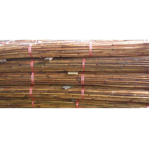 Rotin de Malacca rouge fabriqué à Singapour, 18/23 mm, 24/27 mm, 28/32 mm, pour meubles d'extérieur et agriculture, emballé en rouleaux - Product Image 6