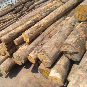 Bûches rondes en bois d'acacia au prix le plus bas, bûches pelées et poteaux à vendre - Product Image 1