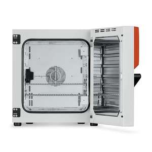 BINDER BF56 Forced Convection <b>Medical</b> <b>Incubator</b> 59L Capacity Ambient +7C 100C Temperature Range 40kg 560x565x625mm Dimensions - Product Image 2