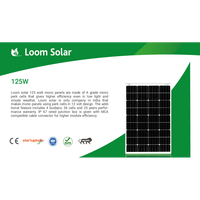 Panneau solaire monocristallin Loom Solar 125 Watt 12 Volts N-Type demi-cellule